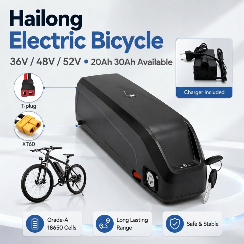 Multi-Size Ebike Battery Hailo - Ebike Battery 48V 20Ah Hailong recension och pris