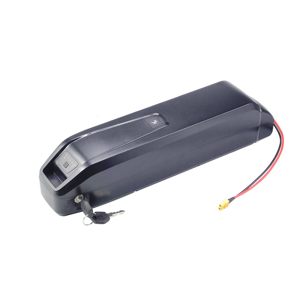 New S20 Pro 48V 13Ah 20Ah Hail - Ebike Battery 48V 20Ah Hailong recension och pris